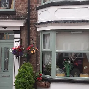 The Holly & Ivy , Bridlington United Kingdom